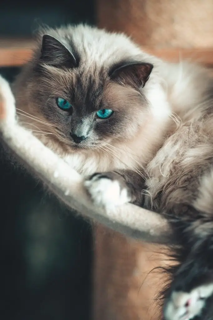 pexels photo 29578138.jpeg